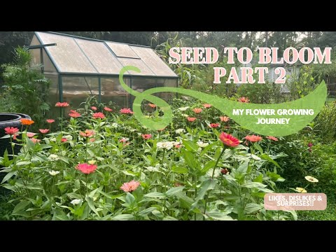 A Flower Garden Started Entirely From Seed PART 2- I'm Spilling The Seeds | The Southern Daisy