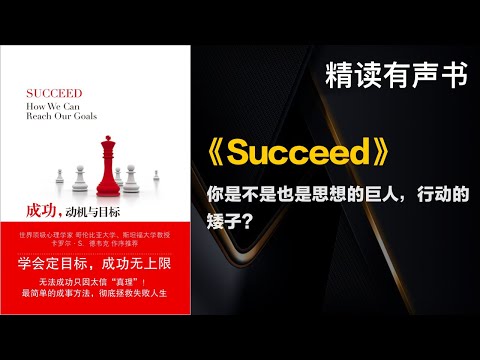 你是不是也是思想的巨人，行动的矮子？ - 精读《Succeed》