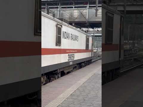 WAP-7 Chain Pulling Horn