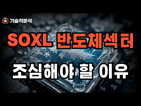 SOXL 반도체 섹터는 주의해야 합니다 ｜투자에서 중요한 원칙이 있습니다!