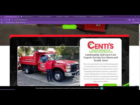 Website Analysis Video for Centi's Landscaping