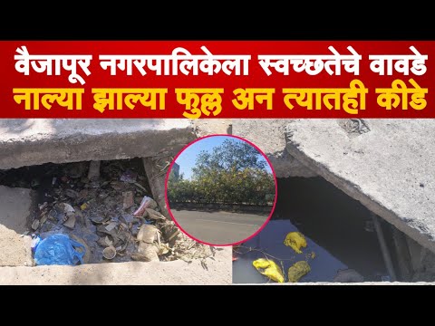 नगरपालिकेला स्वच्छतेचे वावडे..नाल्या फुल्ल अन मधोमध वाढली झुडपे | Bindass news