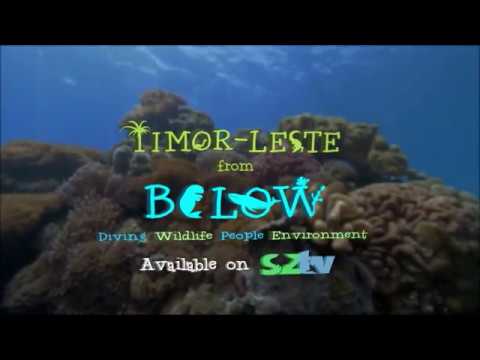 Coming Soon! | Timor-Leste from Below