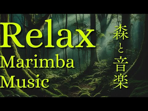 【🌳マリンバと森の作業用BGM】森林浴BGM | 木琴の音色で癒されゾーン突入