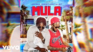 Jahshii, Damiithastylist - Mula (Official Audio)