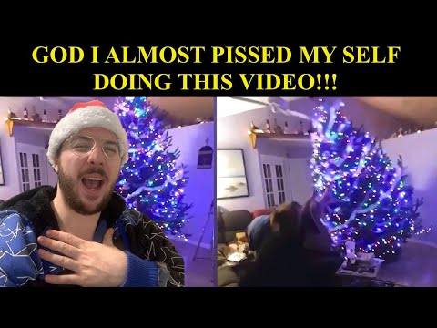 Christmas FAILS made me laugh hard, Best Video Yet!!!!