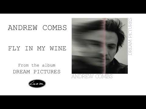 Andrew Combs - Fly in My Wine