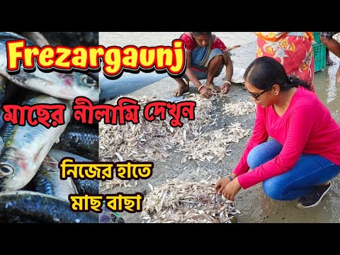 Frezargaunj,Bakkhali.মাছের নীলামি দেখুন।Frezarganj FishMarket,Bakkhali.#bakkhali.#westbengaltourism.