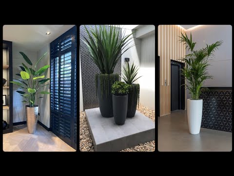 Mind Blowing Potted Planter Ideas For indoor and outdoor - Home Decoration