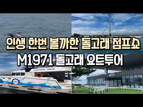 제주여행 요트투어 돌고래체험 서귀포 여행 M1971 돌고래투어