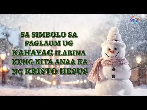 CHRISTMAS GREETINGS 2024 | ROBINSON'S STORE AND FASTFOOD