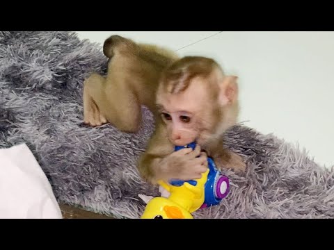 Cute little baby boy play toys in home