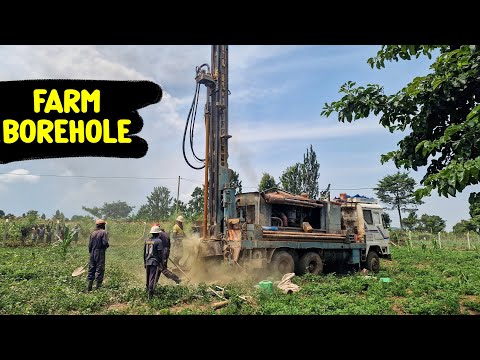 Goodbye Water Bills - I Built a Borehole on the Farm