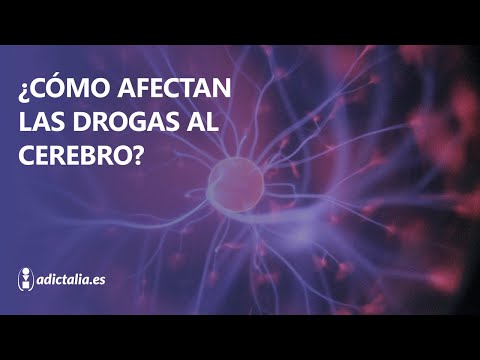 Cómo afectan las drogas al cerebro: el circuito de recompensa