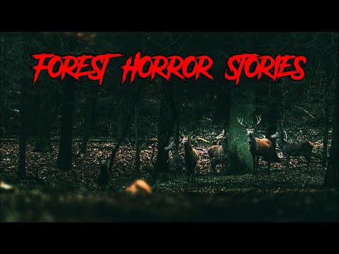 (3) Creepy FOREST Horror Stories [Hunted in the Woods & MORE!]