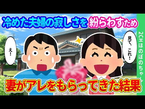 【2chほのぼの】子供ができなくても一生二人で楽しく暮らそうと約束した妻と、30年も経てば会話のない夫婦になり、寂しさを紛らわすため妻が〇〇をもらってきた結果…【ゆっくり】