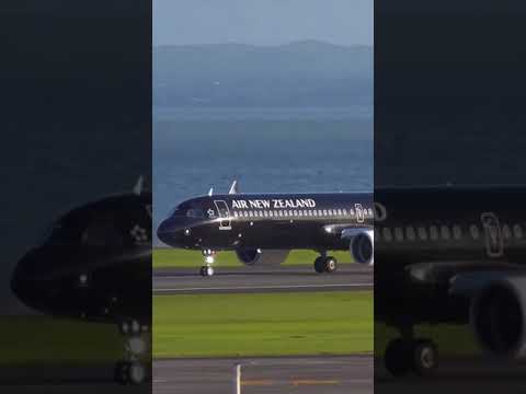 Who Likes Black Livery ? ⚫ | Air New Zealand | Always Aviation | Please Subscribe For More 😊