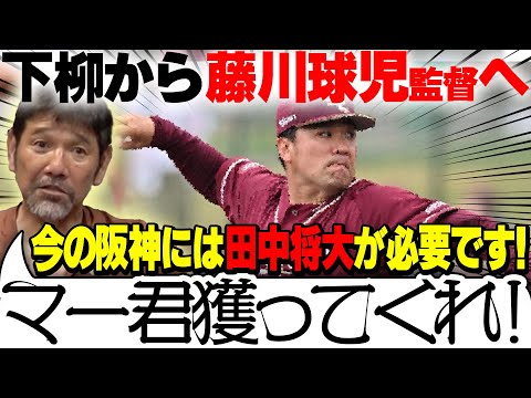 【藤川監督】秋季キャンプを経て来季の阪神ローテーション予想!!