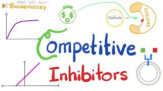 Competitive Inhibition (Competitive Inhibitors) - Enzyme Kinetics - Biochemistry