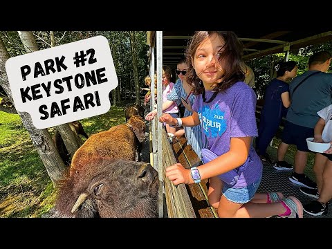 Roadtrip Vlog #2 - Keystone Safari