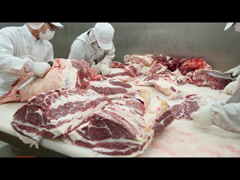 Butchering an over 500kg cow / 마장동 소고기 발골 현장 - 1시간이면 소 한마리가 뚝딱 !!