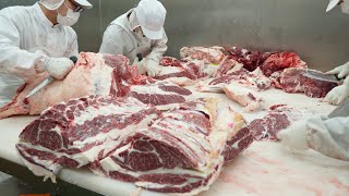 Butchering an over 500kg cow / 마장동 소고기 발골 현장 - 1시간이면 소 한마리가 뚝딱 !!