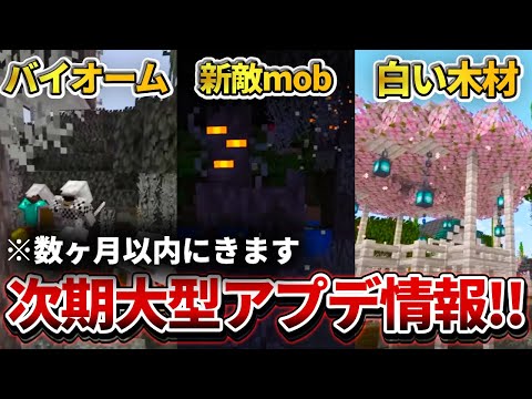 【マイクラ】数ヵ月以内に実装される大型アプデの新情報が遂に解禁！白い木材が来るぞ！【PE/PS4/Switch/Xbox/Win10】ver1.21