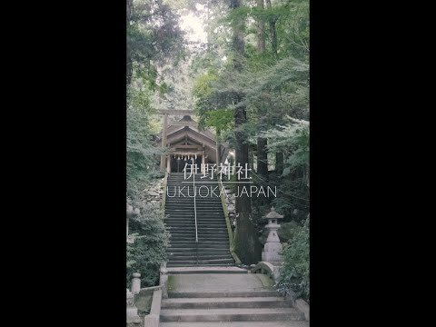 【福岡 観光】鳥居を抜けると空気が変わる神域〜A shrine where the air changes when you pass through the torii〜 #shorts