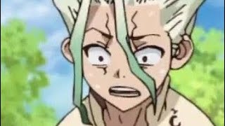 dr stone season one was unhinged