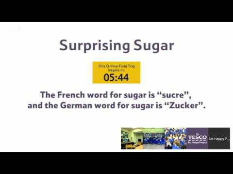 Learn all about Surprising Sugar