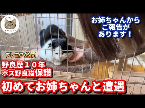 初めてお姉ちゃんと会った元野良猫の反応が意外でした/お姉ちゃんのスカートの中に入って暖まる猫！