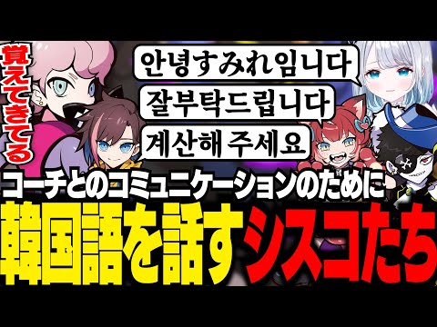 【CRカップ】顔合わせで韓国勢のコーチたちとコミュニケーションをとろうと韓国語を話すシスコたち【OW2/ふらんしすこ/切り抜き】