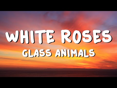 Glass Animals - White Roses (Lyrics)