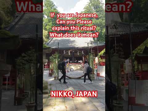 If you are Japanese what does this mean? #nikko #japan #shorts #viralvideo