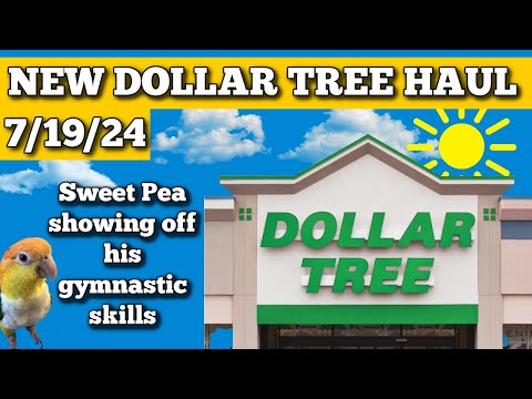 Fun Finds at Dollar Tree 7/19/24