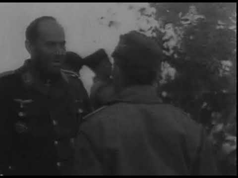 Battles of WWII: invasion of Sicily 9 July – 17 August 1943 (German Newsreel)