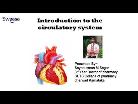 How Does the Blood Circulatory System Work? Explained Simply!