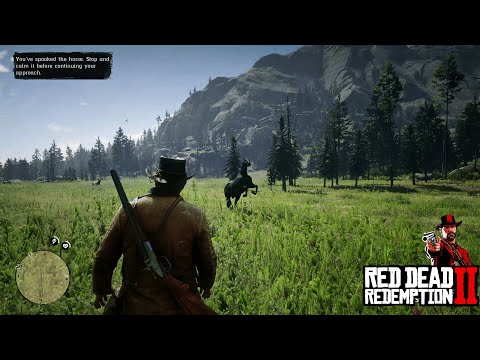 Rarest Wild horse location in Red Dead Redemption 2- Best fastest