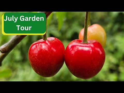 July Garden Tour - 2024