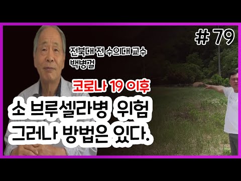 소 브루셀라병은 인간에게도 위험, 그러나 희망은 있다.