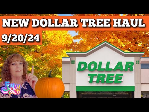 Check Out All The Amazing Finds In My Latest Dollar Tree Haul!