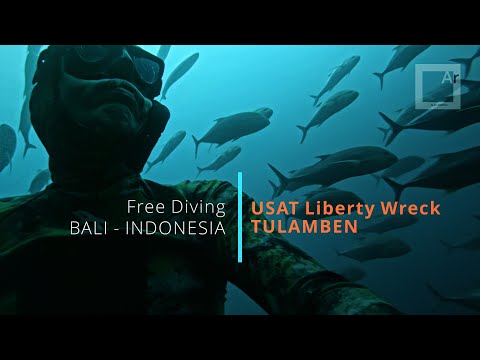 Free-diving in BALI (USAT Liberty Wreck, Tulamben) - Grouper, jackfish school, sweetlips.