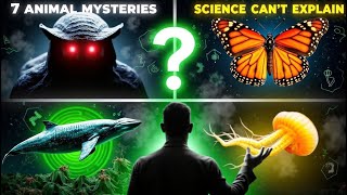 Top 7 Animal Mysteries That Scientists Are Still Trying to Solve