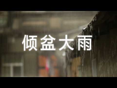 【白噪音/ 自然/治愈】午后的倾盆大雨 隔着屏幕都能闻到那雨水的气息