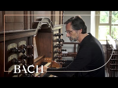 Bach - Pastorella in F major BWV 590 - Smits | Netherlands Bach Society