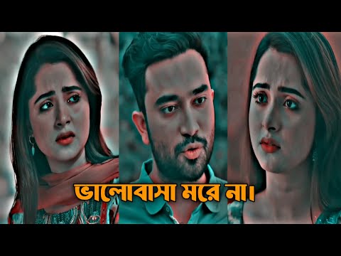 সত্যিকারের ভালোবাসা কখনো মরেনা। ভালোবাসা দ্বিতীয় বারও হয়। New Natok Shorts video| New Love story