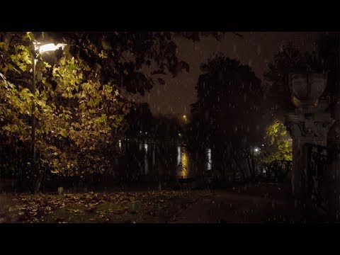 Relaxing Natural and Detailed Sound of Rain on Tree Leaves Near the Lake at Night