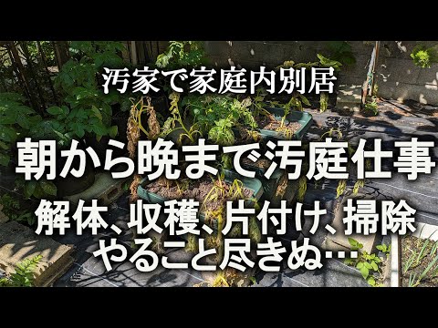 【片付け】丸１日汚庭仕事しました。収穫、後片付け、園芸、ガラクタ解体｜汚部屋｜ズボラ主婦｜空き家｜汚庭｜庭仕事