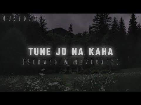 Tune Jo Na Kaha (Slowed & reverbed) | "haal Tera na Humsa hai"| @Musidzz