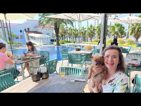 Lunch at Zushi Marina | Resort Lifestyle Just an Hour from Tokyo, Japan